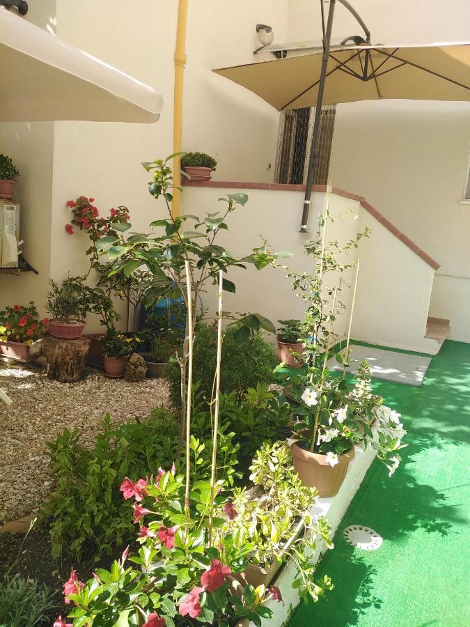 Flowered House With Garden Alghero Ngoại thất bức ảnh